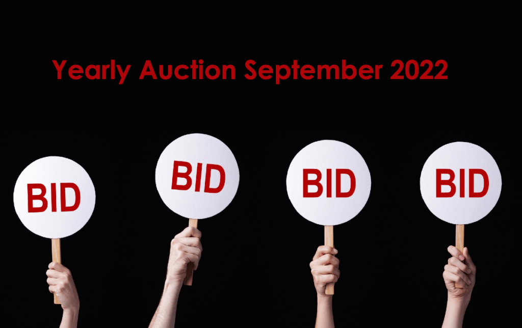 gotg self storage auction 2022